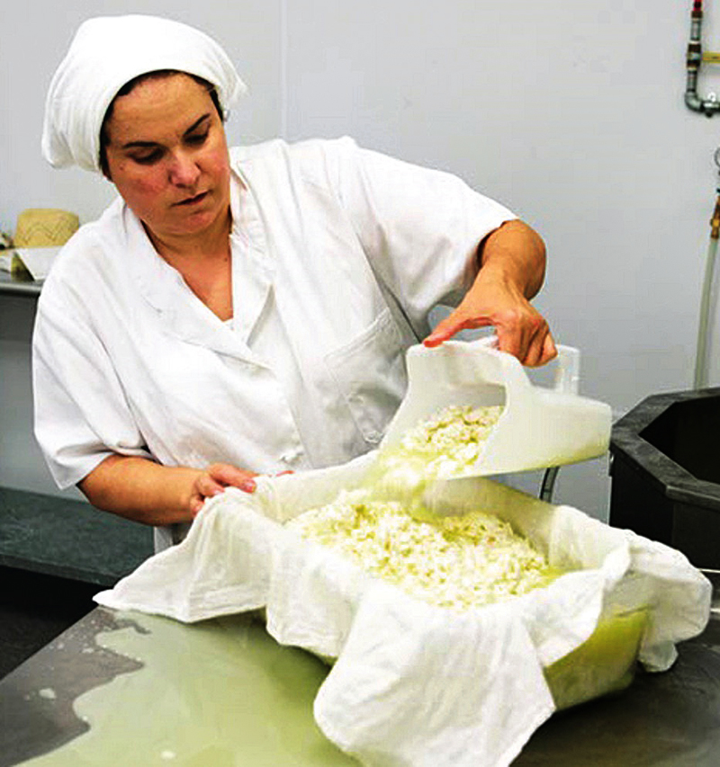 Alabama's Dayspring Dairy